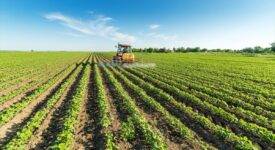 Εναρξη πληρωμής επιλαχόντων νέων γεωργών agrotes 275x150