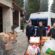 Η Αστυνομική Δ/νση Ηπείρου προσέφερε δώρα σε φορείς και ιδρύματα                                         55x55