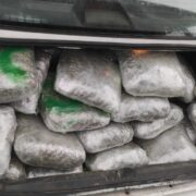 Θεσπρωτία: Συνελήφθησαν έμποροι ναρκωτικών με 67 κιλά κάνναβη                                                                                      67                         2 180x180
