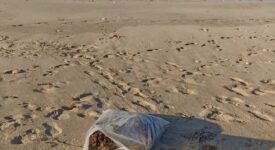 Τα κύματα σε παραλία του Ρεθύμνου &#8220;ξέβρασαν&#8221; 134 κιλά κάνναβη                          134                                                                     275x150
