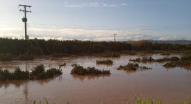 Λακωνία: Ως 28/2 οι αιτήσεις αποζημιώσεων για τους πλημμυροπαθείς του Δήμου Ευρώτα                  26 1 23 275x150