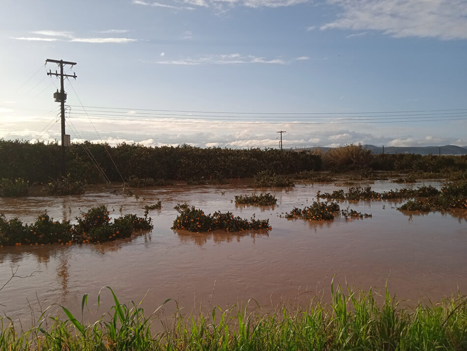 Λακωνία: Ως 28/2 οι αιτήσεις αποζημιώσεων για τους πλημμυροπαθείς του Δήμου Ευρώτα                  26 1 23 950x713