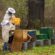 12 εκ. € ενίσχυση στους μελισσοκόμους για την αντιμετώπιση των επιπτώσεων από την Ουκρανική κρίση                          55x55