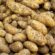 ΠΑΣΟΚ: Σε απόγνωση βρίσκονται οι αγρότες-παραγωγοί πατάτας της χώρας μας                55x55