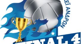 Καλαμάτα: Αντίστροφη μέτρηση για το final-4 του Κυπέλλου Ελλάδας ανδρών στο βόλεϊ Final 4                                                                       275x150