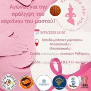 Ρέθυμνο: Αγώνας μπάσκετ για την πρόληψη του καρκίνου του μαστού                                                                                                                     180x180