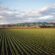 Απαλλαγή από την υποχρέωση της αγρανάπαυσης-Τι προβλέπει η απόφαση της ΕΕ που αφορά 127.232 γεωργούς                    55x55