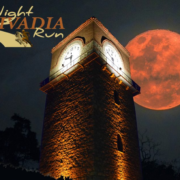 2ος Νυχτερινός αγώνας Livadia Night Run 2                                       Livadia Night Run 180x180