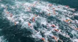 Κορυφαίες επιδόσεις σε αγώνες κολύμβησης στον Πειραιά                                                                                                      275x150