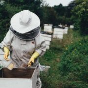 Λευτέρης Αυγενάκης: Γνωρίζω τα προβλήματα των μελισσοκόμων                          1 180x180