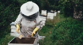 Λευτέρης Αυγενάκης: Γνωρίζω τα προβλήματα των μελισσοκόμων                          1 275x150
