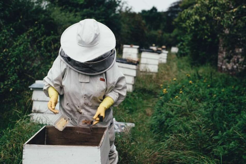 Λευτέρης Αυγενάκης: Γνωρίζω τα προβλήματα των μελισσοκόμων                          1 950x632