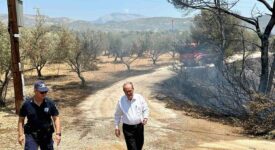 Ξεκινούν οι καταγραφές των ζημιών από την πυρκαγιά στον Δήμο Λουτρακίου-Περαχώρας-Αγίων Θεοδώρων                                                                                                        275x150