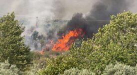 Δήλωση Δημάρχου Λαμιέων για την πυρκαγιά στην πόλη της Λαμίας                             275x150