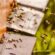 Μεσσηνία: Οδηγίες στους μελισσοκόμους για την περίοδο του καύσωνα                  55x55