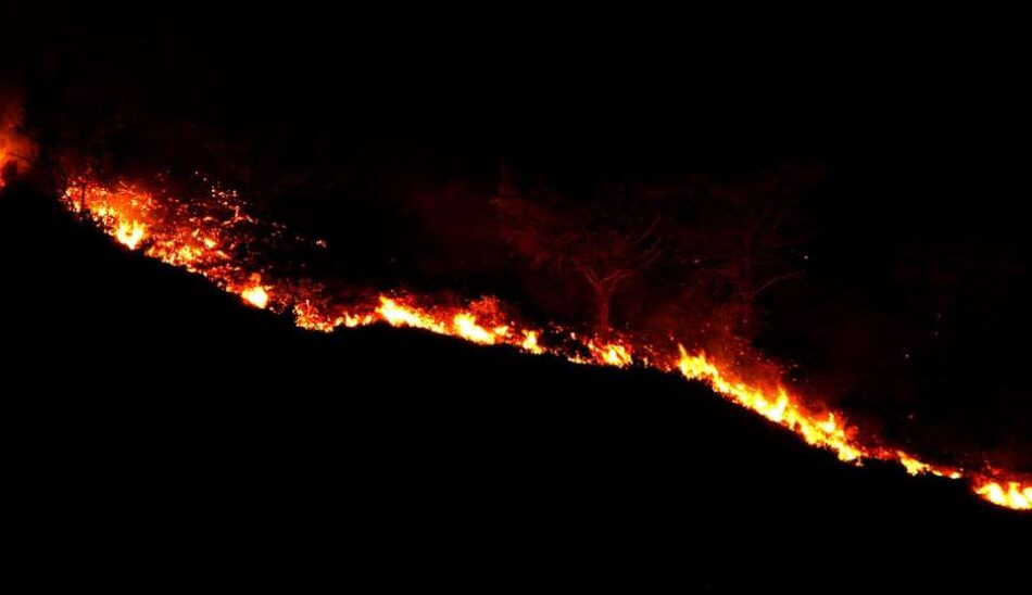 Πυρκαγιά στον Γαλατά Αιτωλοακαρνανίας fwtia nyxta 950x548