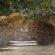 Τατόι Τατόι: Ολοκληρώνεται η αποκατάσταση των ανακτορικών κήπων                 grotto                      55x55