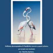 Έκθεση με τίτλο «Γιορτή των Πουλιών» στο Μεσολόγγι                                    180x180