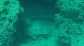 Εντοπίστηκαν 7 βλήματα όλμων στη θάλασσα της Ιεράπετρας                          7                                                                             275x150