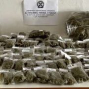 Συλλήψεις στη Λακωνία για ναρκωτικά                                                                    180x180