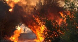 48 δασικές πυρκαγιές εκδηλώθηκαν το τελευταίο 24ωρο 3435 275x150