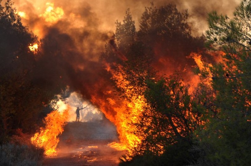 48 δασικές πυρκαγιές εκδηλώθηκαν το τελευταίο 24ωρο 3435