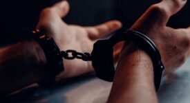 4 συλλήψεις αλλοδαπών για ζωοκλοπές στις ευρύτερες περιοχές των Σοφάδων και Παλαμά Καρδίτσας FG0JLkjXwAkR8wx 275x150