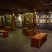 Λίνα Μενδώνη: Τα Μουσεία πρέπει να εμπνέουν museum 42 180x180