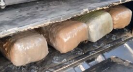 Θεσπρωτία: Μετέφερε 74 κιλά κάνναβη με το αυτοκίνητό του                  74                                                               275x150