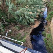 Μεσσηνία: Έρευνα για να διαπιστωθεί η προέλευση των αποβλήτων σε ποτάμια και αρδευτικά κανάλια                  3 180x180