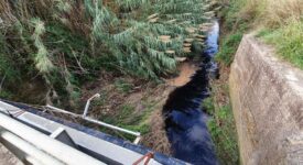 Μεσσηνία: Έρευνα για να διαπιστωθεί η προέλευση των αποβλήτων σε ποτάμια και αρδευτικά κανάλια                  3 275x150
