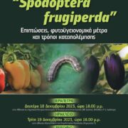 Κρήτη: Ενημερωτικές εκδηλώσεις για την πρώτη εμφάνιση του εντόμου-εχθρού καραντίνας «Spodoptera fruigipedra»                                                                                                                                                 Spodoptera fruigipedra 180x180