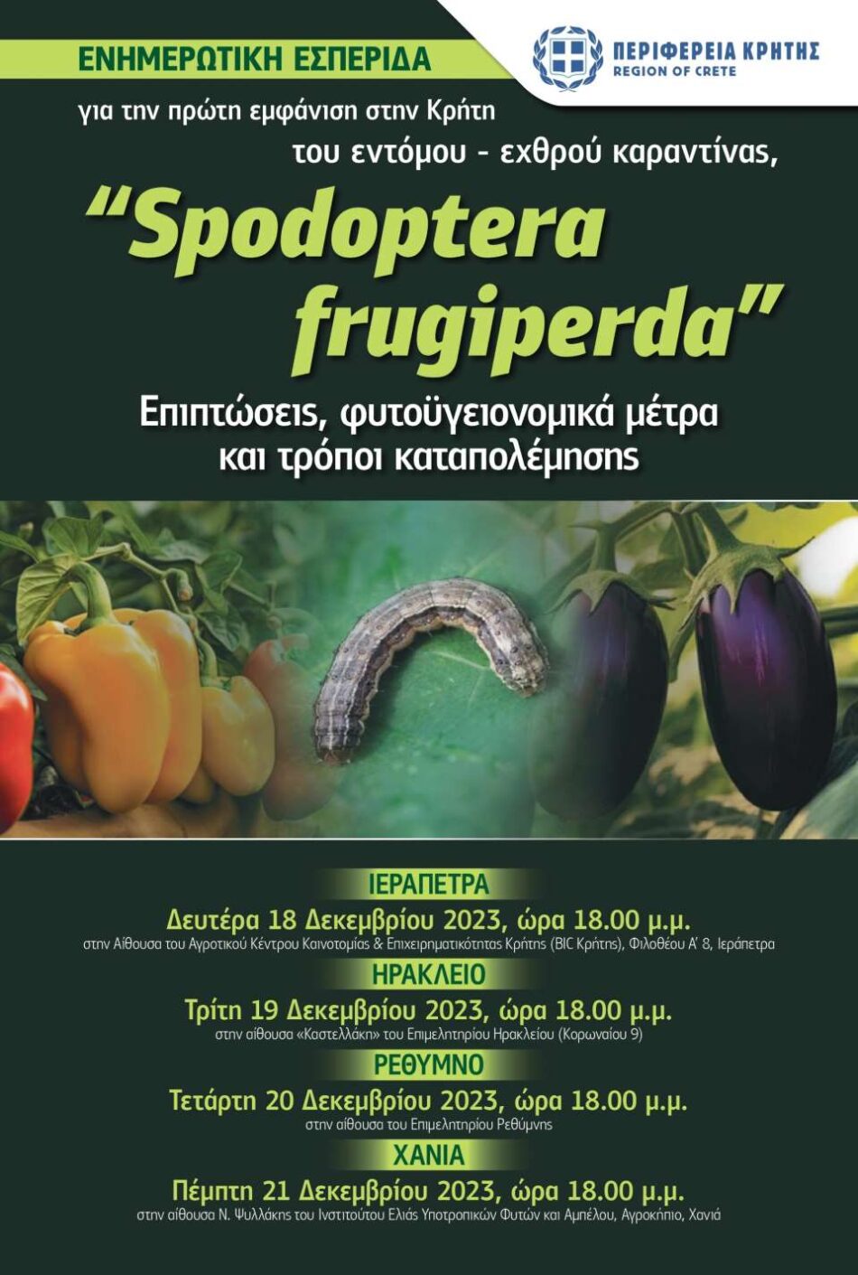 Κρήτη: Ενημερωτικές εκδηλώσεις για την πρώτη εμφάνιση του εντόμου-εχθρού καραντίνας «Spodoptera fruigipedra»                                                                                                                                                 Spodoptera fruigipedra 950x1411