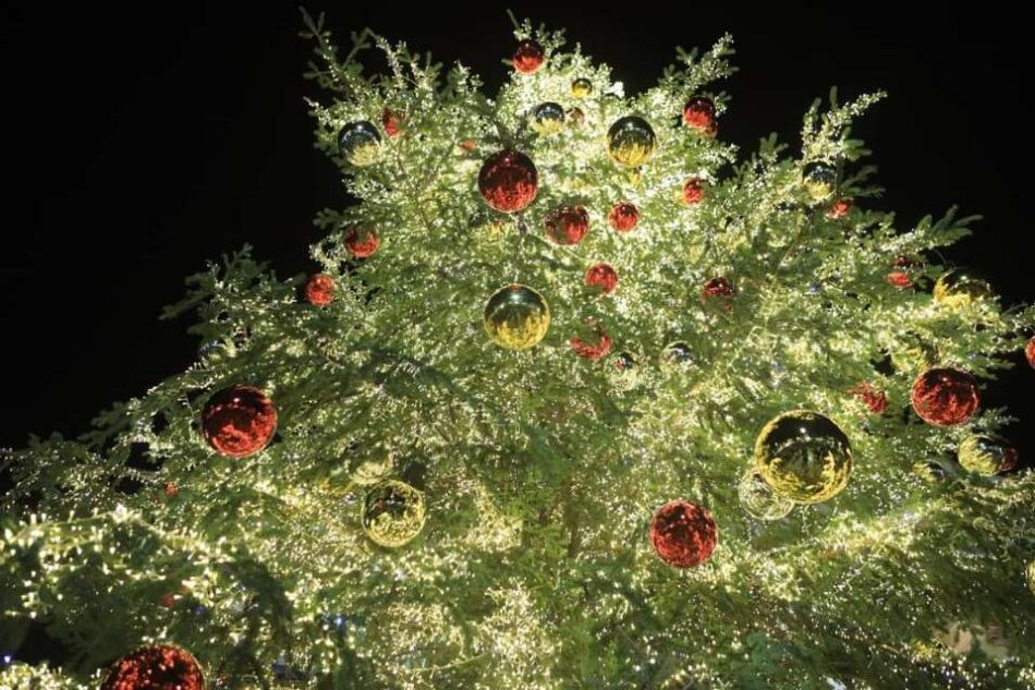 Ο Δήμος Πειραιά φωταγώγησε το Χριστουγεννιάτικο δένδρο του                                                                                                               950x633