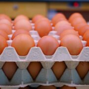 Πλήθος παραβάσεων σε εταιρεία παραγωγής και εμπορίας αυγών στη Θεσσαλονίκη eggs 180x180