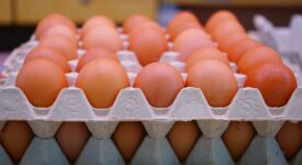 Πλήθος παραβάσεων σε εταιρεία παραγωγής και εμπορίας αυγών στη Θεσσαλονίκη eggs 275x150