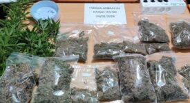 Σύλληψη καλλιεργητή ναρκωτικών στην Ηλεία                                                                                275x150