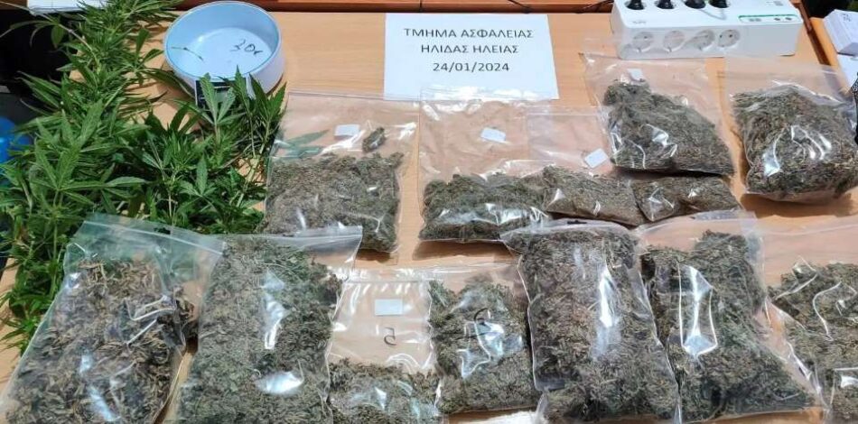 Σύλληψη καλλιεργητή ναρκωτικών στην Ηλεία                                                                                950x470
