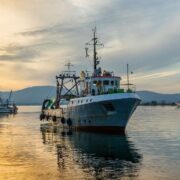Το Υπουργείο Αγροτικής Ανάπτυξης &#038; Τροφίμων δέχεται αιτήσεις ενίσχυσης για κατάργηση του γρίπου σε βιντζότρατες fishing vessel 3855153 1280 180x180