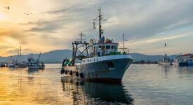 Το Υπουργείο Αγροτικής Ανάπτυξης &#038; Τροφίμων δέχεται αιτήσεις ενίσχυσης για κατάργηση του γρίπου σε βιντζότρατες fishing vessel 3855153 1280 275x150