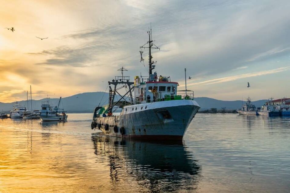 Το Υπουργείο Αγροτικής Ανάπτυξης &#038; Τροφίμων δέχεται αιτήσεις ενίσχυσης για κατάργηση του γρίπου σε βιντζότρατες fishing vessel 3855153 1280 950x633