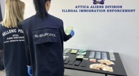 Σύλληψη κυκλώματος διακίνησης μεταναστών με πλαστά ταξιδιωτικά έγγραφα                                                                                                                                       275x150