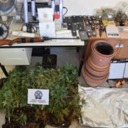 Εντοπίστηκε αυτοσχέδιο εργαστήριο καλλιέργειας δενδρυλλίων κάνναβης στην Αρτέμιδα          5 3 scaled 1 180x180