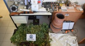 Εντοπίστηκε αυτοσχέδιο εργαστήριο καλλιέργειας δενδρυλλίων κάνναβης στην Αρτέμιδα          5 3 scaled 1 275x150