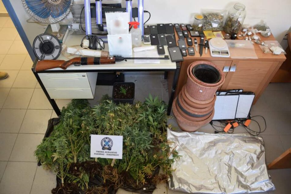 Εντοπίστηκε αυτοσχέδιο εργαστήριο καλλιέργειας δενδρυλλίων κάνναβης στην Αρτέμιδα          5 3 scaled 1 950x633