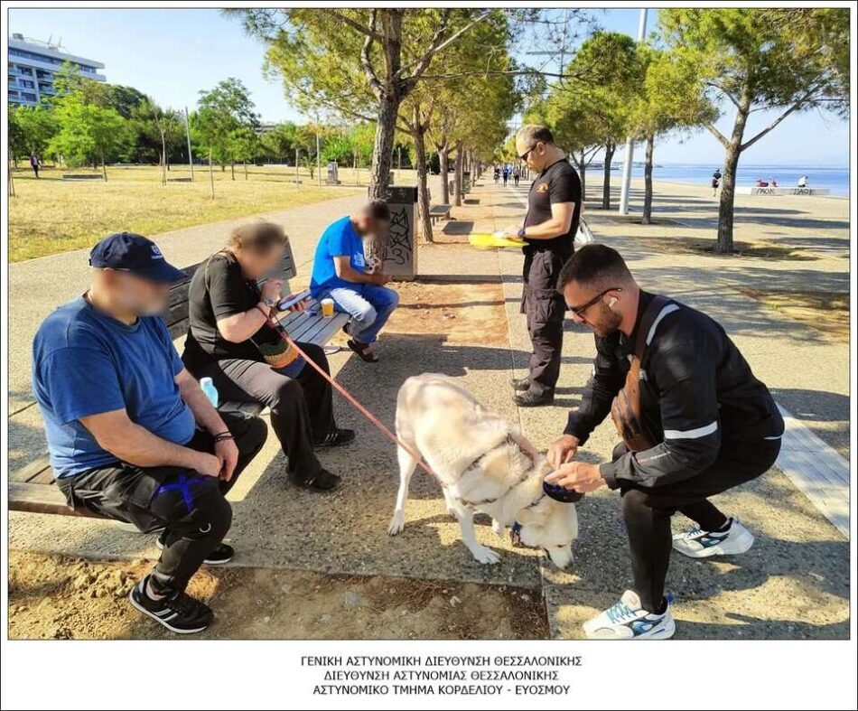 Έλεγχοι σε δεσποζόμενα ζώα συντροφιάς στη Θεσσαλονίκη ezgif 5 522468db32 950x787