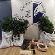 Σύλληψη καλλιεργητή ναρκωτικών στο Ίλιον  Σύλληψη καλλιεργητή ναρκωτικών στο Ίλιον ezgif 1 b7c7479a77 180x180